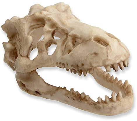 Uotyle Aquarium Höhle Dinosaurier Schädel Aquarium Deko Große Harz Aquarium Ornament für Reptile und Fische