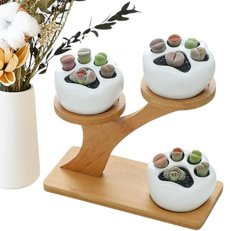 Sukkulententententöpfe – All-in-1 Keramik-Sukkulenten-Blumentopf, Sukkulenten-Blumentopf, für den Innenbereich, mit Ablauflöchern und Drainage, für Garten, Küche, Zuhause,