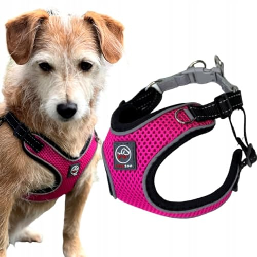 Lalazoo Breezy Hundegeschirr No-Pull verstellbar & reflektierend – Leichtes, atmungsaktives Step-in Geschirr mit D-Ring & Sicherheitsverschluss für kleine & mittelgroße Hunde – Fuchsia/Schwarz, XXS