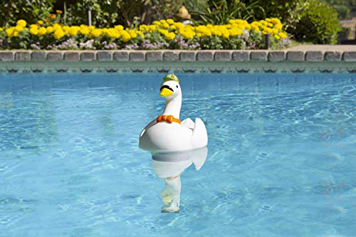 Poolmaster Schwimmbad-Chlorspender Gans