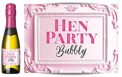 10x Labels for mini Champagne or mini Wine Bottles Non Personalised – Hen Party, Hen Weekend (10x Baby Pink Labels)
