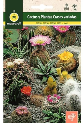 Mascarell Semillas, CACTUS Y PLANTAS CRASAS VARIADAS, Semillas Flores Exterior para Decoración, 0,1 Gramos