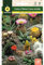 Mascarell Semillas, CACTUS Y PLANTAS CRASAS VARIADAS, Semillas Flores Exterior para Decoración, 0,1 Gramos