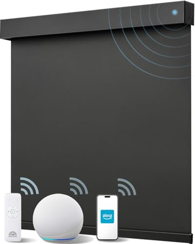 JaeJaes Alexa Smart Blinds for Windows, Blackout Electric Roller Shades with Remote Control, Easy Install Automatic Blinds for Indoor (120W x 183H CM, Black)