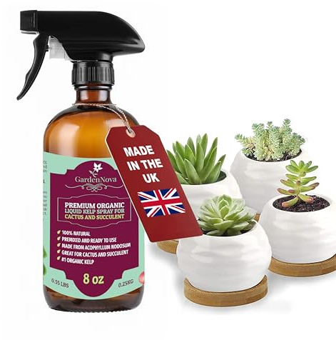 GARDENNOVA Professional Organic Liquid Kelp Spray for Succulents & Cacti Plants - 8 oz - Ready-to-Use Fully Organic Seaweed & Kelp Fertilizer Mist