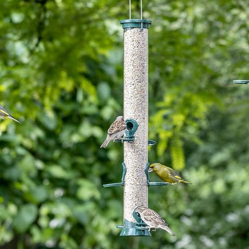 CJ Wildlife Futtersäule Vögel – Vogelfuttersäule zum Aufhängen – Metall Grün – 6 Futteröffnungen mit Sitzring – UV-beständig – 5 Jahre Garantie