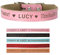 Personalised Dog Collar Leather Dog Collar Personalised Cat Collar Puppy Collars Custom Collars for Pets Cat Puppy Dogs Blue Black Pink Red XS S M L (Pink XS)