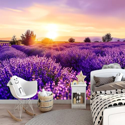 Art Fototapete Lavendelfeld Bei Sonnenuntergang Tapete 250 x 175 cm Vlies Tapeten Moderne Wandtapete Wohnzimmer Schlafzimmer Study Wohnzimmer Restaurant Cafe Dekoration