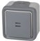 Legrand, 191503 Plexo - Interruptor de pared luminoso, pulsador estanco de superficie de la gama Plexo, interruptor exterior, resistente al agua (IP55), color gris