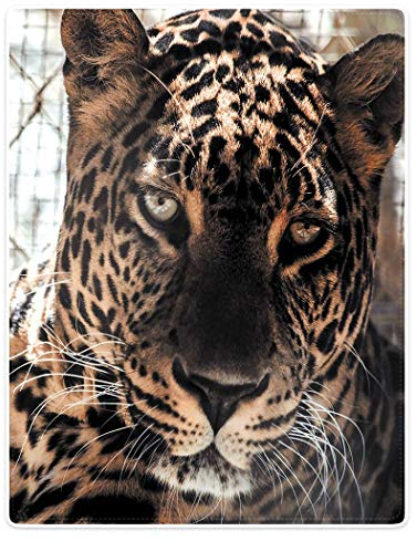 YISUMEI Kuscheldecke Leopardenkopf Decke Flauschige Weich Fleecedecke für Sofa Bett,150x200cm