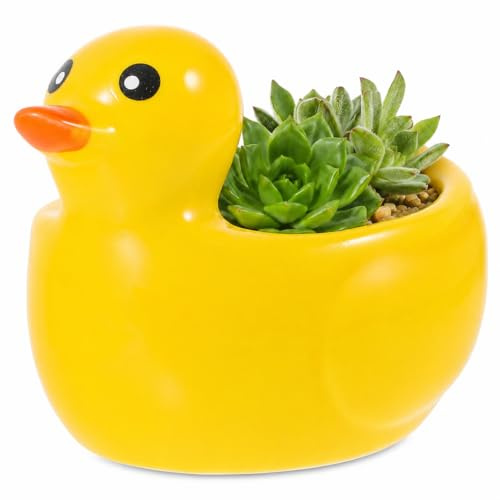 ABOOFAN Cute Succulent Pots Ceramic Flower Pots Small Duck Shaped Cactus Plant Container with Drainage Hole for Home Office Decoration