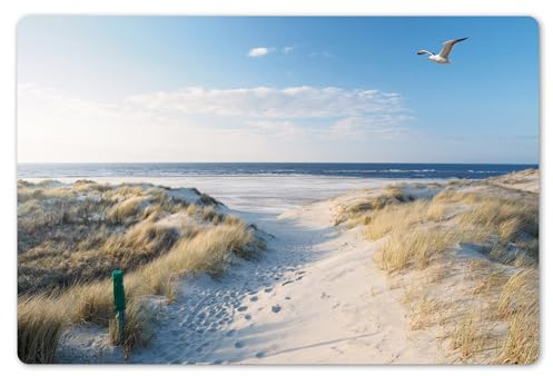 KitchenYeah© Platzsets Abwaschbar 6-Teilig Tischsets Platzdeckchen Platzset | 45x30 cm - Unterlage Tischset Esstisch Edle Tischunterlage Placemat Düne - Möwe - Strand - Meer - Sonne