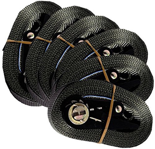 6 SPANNGURTE mit ZURRRATSCHE 6 m 0,8 t EN-12195-2 Zurrgurte 6m (Schwarz)