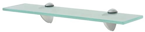 vidaXL Estante Flotante Cristal Transparente 40x20 cm 8 mm Estantería Mostrador