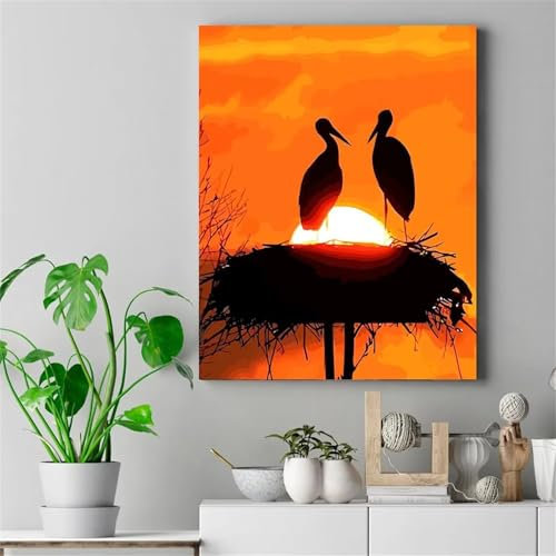 Paint by Numbers,Sunset Birdhouse Paint by Numbers Adults Canvas Oil Painting,DIY with Frame Paint by Numbers for Children with Paint Brushes and Acrylic Painting Kit Home Decor Painting 16x20 inch