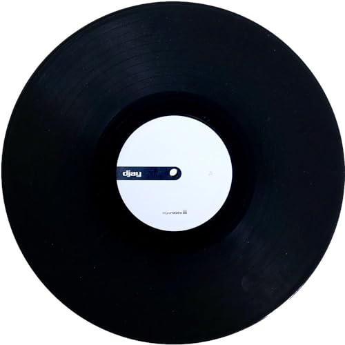 STOKYO Algoriddim djay PRO AI 12 Control Vinyl