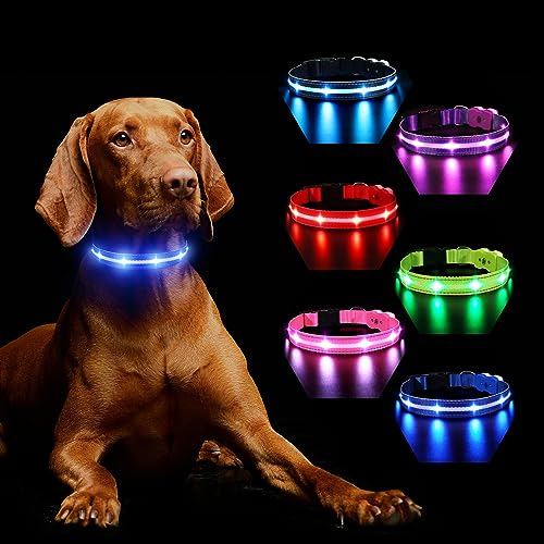 Light Up Dog Collar Rechargeable, LED Dog Collar Lights with 7 Colors Change 8 Lighting Modes Glow in the Dark, Adjustable Waterproof Flashing Collar for Small Medium Large Dog, Blue L