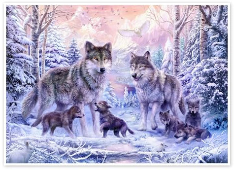 Wolffamilie im Winter Poster von Jan Patrik Krasny 40 x 30 cm Wandbilder Wanddeko