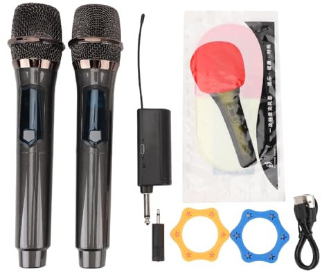 Pilipane UHF Wireless Microphone System Professional 1 Tows 2 Microphone sans Fil Manuel pour Les Performances de la scène Studio d'enregistrement Web Home KTV