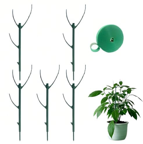 Tuteurs pour Plantes de Jardin,pour Plantes d'intérieur,(5 pièces) | Tuteurs pour Plantes,Clips de Support pour Plantes,Tuteurs de Jardin pour pothos,Vigne,Utilisation pour Fleurs