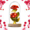 ALLOMN Rose, Seide Rose Schönheit und das Biest Rose Kit mit Glaslampenschirm 20 LED Warmweiß Valentinstag Muttertag Weihnachten Geburtstagsgeschenk