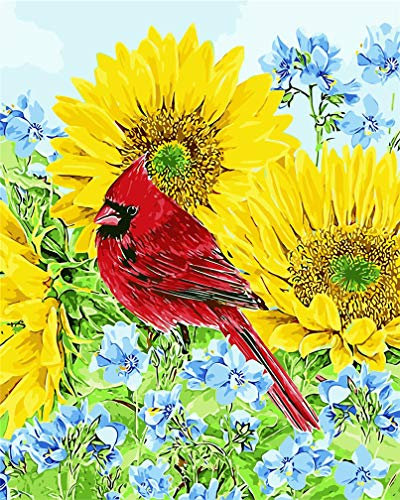 Amiiba Malen-nach-Zahlen-Set, Motiv: Kardinalvogel, Tiere, Iris, Sonnenblume, Blumen, 40,6 x 50,8 cm, Acryl, Malen nach Zahlen, Wandkunst, Kunsthandwerk (Kardinal, ohne Rahmen)