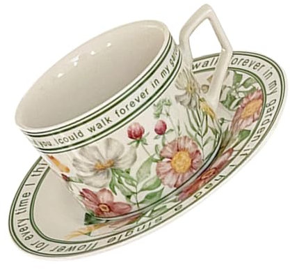 Anneome Tazza Da Caffè in Ceramica Con Piattino Di Tazze Da Tè Decorative Tazza Per Acqua e Bevande Al Latte