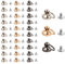 Dokeno Rivets avec Anneau en Métal 30 Pcs, 10mm Clous à Rivets en Laiton avec Vis Massif Rivet à Anneau en O Goujon pour Bricolage en Cuir Artisanat Sac à Dos Ceinture Bourse Accessoires