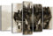 Feeby Bilder 5 Teile Tiere Wolf XXL Typ A 200x100 cm 1 Teilig Wohnzimmer Schlafzimmer Büro Flur Küche Wandbilder Modern Bild auf Leinwand Wanddekoration Kunstdruck Design Natur Wald Bäume Augen Grau