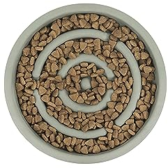 Enviropaws Gamelle en bambou pour chien avec prise en main antidérapante | Favorise une alimentation lente | Peu profonde | Prévient le risque d'étouffement et de suralimentation | Labyrinthe