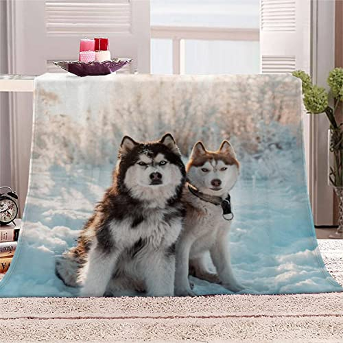 TAOLU Kuscheldecke Flanell 70x100 cm Sibirischer Husky Fleecedecke 3D Hochwertige waschbar Sofadecke mit Muster Flauschige Weiche&Warme Sofaüberwurf Decke Antistatisch Haustier Süß