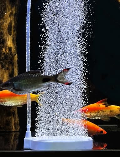 boxtech Aquarium Nano Luftstein,Sauerstoff Stein Nano Bubble | Für gelösten Sauerstoff Nano-Blasen, Sehr leise, 130 mm Geräuschloser Diffusor
