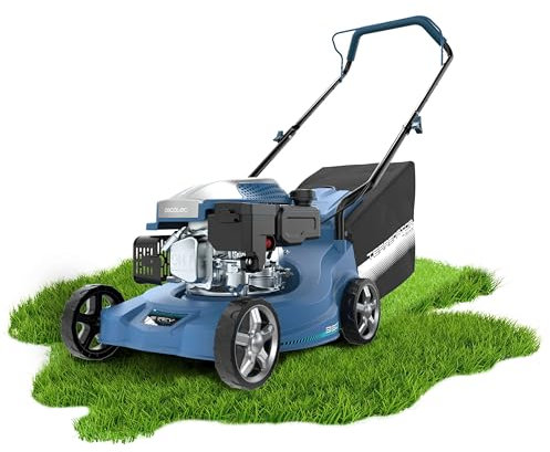 Cecotec Tondeuse à Gazon à Essence Terrenator 2700.39 Power. Moteur de 127 CC, 2,1 KW et 2,8 CV, Fonction Coupe et ramassage, Largeur de Coupe 39 cm, Hauteur de Coupe réglable en 3 Positions