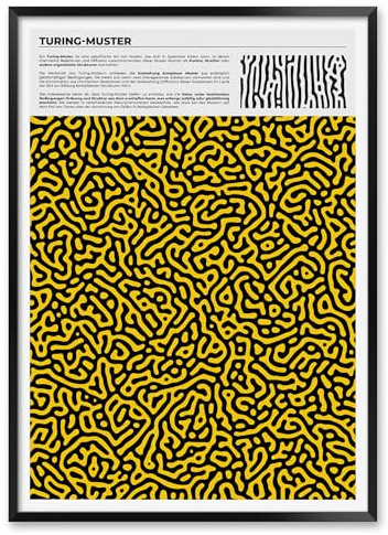 MeloPrints Turing-Muster Kunstdruck für Wissenschaftslabor-Deko – Von der Morphogenese inspirierte Wandkunst mit Turing-Bifurkation und Mustern