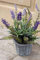 artplants.de Lavanda Artificial KIRSA en Cesta de Mimbre, Violeta, 30cm - Lavanda sintética - Flor Falsa de espliego