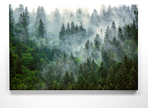 BilderKing Atemberaubende Waldbilder auf Leinwand. Das Motiv – Nebelstimmung – als 80x80cm großes Wandbild. Perfekt als Hintergrund und Deko für Wohnzimmer & Schlafzimmer. Aufgespannt auf Holzrahmen