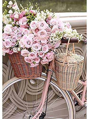 MXJSUA Paysages Diamond Painting Strass Complet, Broderie Diamant Kit Complet Diamond Painting Paysages, DIY 5D Diamant Painting Paysages Peinture Diamant 5D Complet Vélo Rose 30x40CM