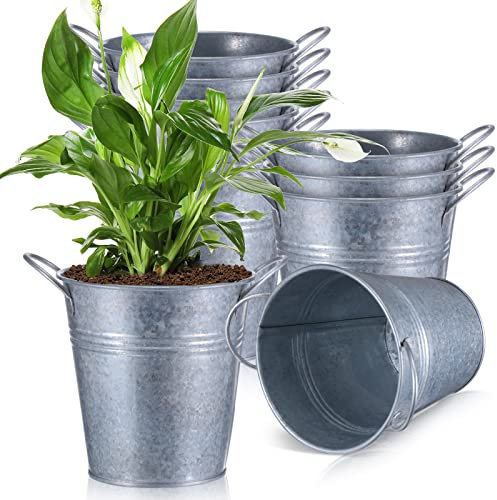 Lallisa 12 Stück verzinkte Metalleimer mit Griff, 13 cm, verzinkter Eimer, Bauernhaus, kleine Blumentöpfe, rustikale Metallvase, Mini-Pflanzgefäße für Zuhause, Party, Hochzeit, Tischdekoration