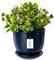 botle Keramiktopf Pflanztopf Blumenchale Übertopf Pflanzkübel handbemalt D 250 mm Navy blau Keramik inkl. Untersetzer Wasserablaufloch
