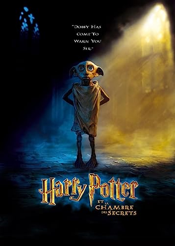 Displate Offiziell Harry Potter MetallPoster Magnetische Befestigung Inklusive Lizenziert Bilder Hochwertiges Poster Chamber of Secrets Movie Posters - Dobby movie poster FR 45 cm x 32 cm