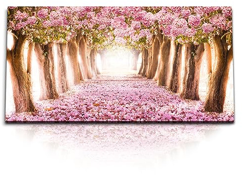 Paul Sinus Kunstdruck Bilder 120x60cm Pinke Baumblüten Frühling Park Baumallee Rosa Blüten