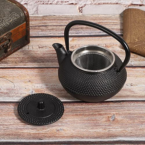 Cast Iron Tea Pot 0.3L Home Use Kettle with Strainer Modeled On Japanese Tea Boiler