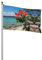 Bandiera tropicale con stampa a tema piante da spiaggia, decorazioni divertenti da giardino, forniture per festival, bandiera da appendere per interni ed esterni, casa, feste, cortile, patio, 0,6 x