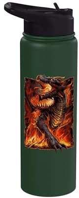 Official Spiral Draconis Flame Gothic Fantasy Stainless Steel Insulated Water Bottle