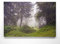 Ein Atemberaubendes Bild – Waldlichtung im Nebel - als 200x150cm große XXL Leinwand. Tolles Wandbild als Hintergrund und Deko für Wohnzimmer & Schlafzimmer. Fertig aufgespannt auf 4cm Holz-Keilrahmen
