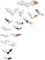 CREATCABIN Halloween Chauve-Souris Autocollant Miroir Stickers Muraux Argent Acrylique Étanche Spooky Effrayant Chauves-Souris Stickers 3D DIY Porte Maison Fenêtre Party Supplies (Style 10, 16 PCS)