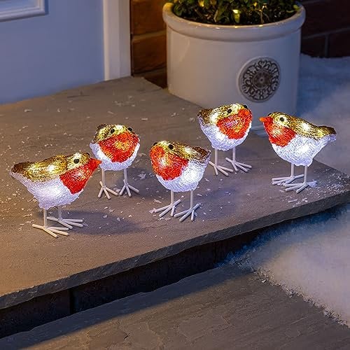 CHRISTOW Light Up Robin Acrylic Christmas Decorations, White LED, Battery Operated with Timer, Indoor Outdoor, Set of 5 (13.8cm x 11cm x 7cm)