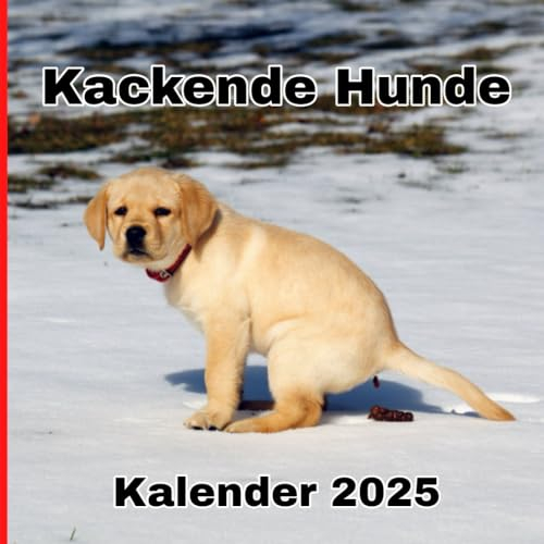 Kackende hunde kalender 2025