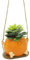 Ldabrye Pots de fleurs innovants combinant plaisir et fonctionnalité, adaptés pour les jardins, balcons, intérieurs et extérieurs, terrasses, conteneurs de plantes