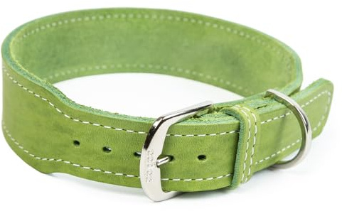 CopcoPet Hundehalsband Leder – Handgefertigtes Lederhalsband für mittelgroße, große Hunde – Halsband Hund – Verstellbar & Robust – Zoe, Apfelgrün, 35 – 40cm 40mm breit, Verchromte Beschläge